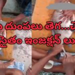 ఓరి మీ దుంపలు తెగ…చేపల కు సైతం ఇంజక్షన్ లు..
