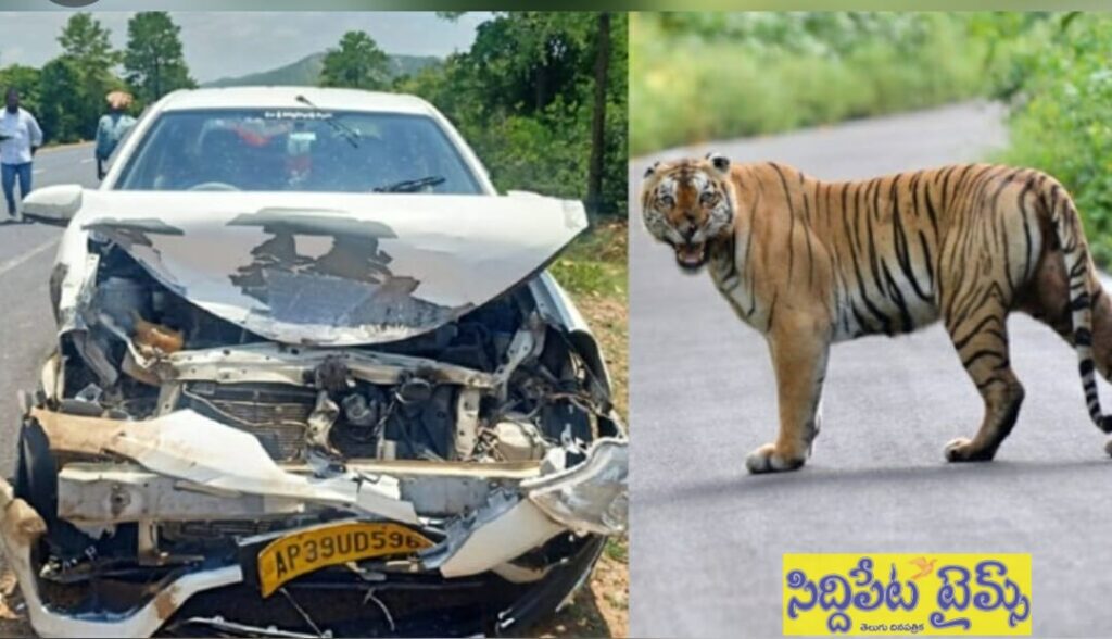 కారును ఢీ కొట్టిన పెద్ద పులి.. తుక్కు తుక్కైన బాడీ!