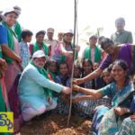 హుస్నాబాద్ లో ఘనంగా 75వ వనమహోత్సవం