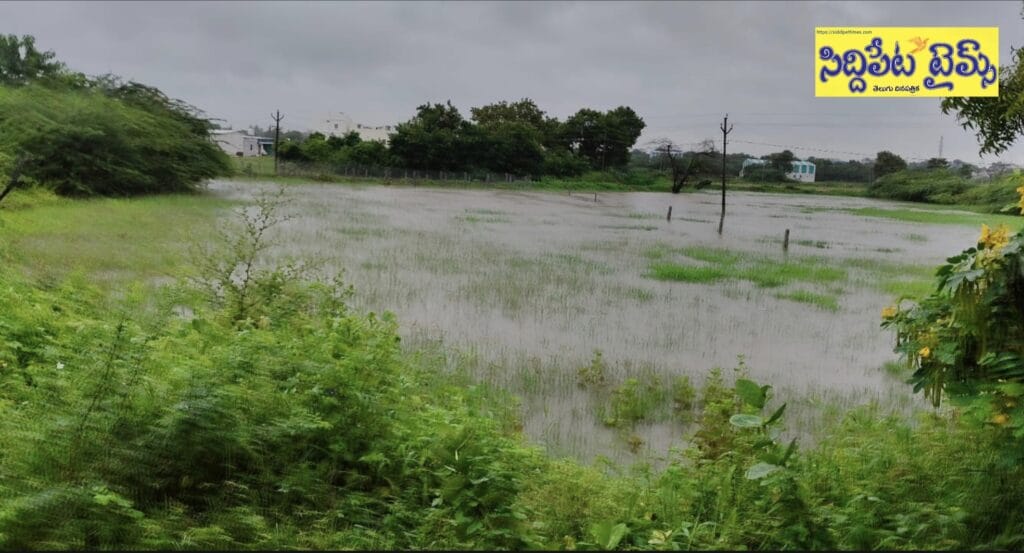 వ్యవసాయ భూముల్లో వరద.. సాగుచేసేదేలా..?అస్తవ్యస్తంగా మారిన ఎర్రచెరువు వరద కాలువ..నీటిలో మునిగిన రైతుల భూములు..మా పరిధి కాదంటూ చేతులు దులుపుకొంటున్న అధికారులుఆందోళనలో రైతులు.. పట్టించుకునే నాథుడు కరువు..